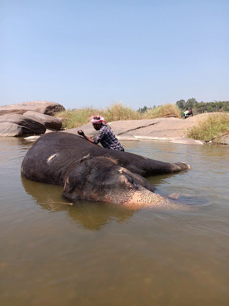 A la rivière avec Lakshmi